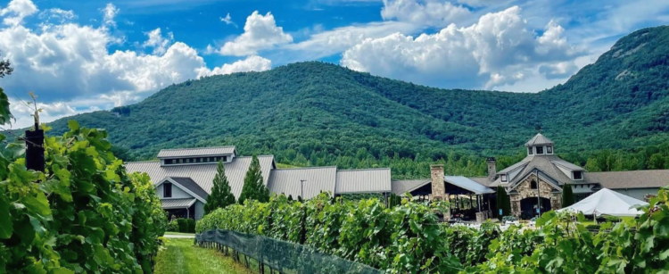 North Georgia Winery Tours Transportation