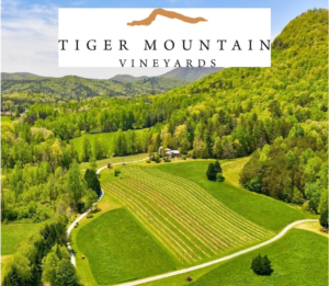 Tiger Mountain Winery Vineyard Wine Tour